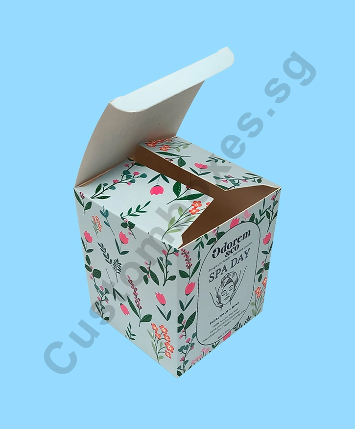 Custom Cardboard Boxes in Singapore Packaging Solutions