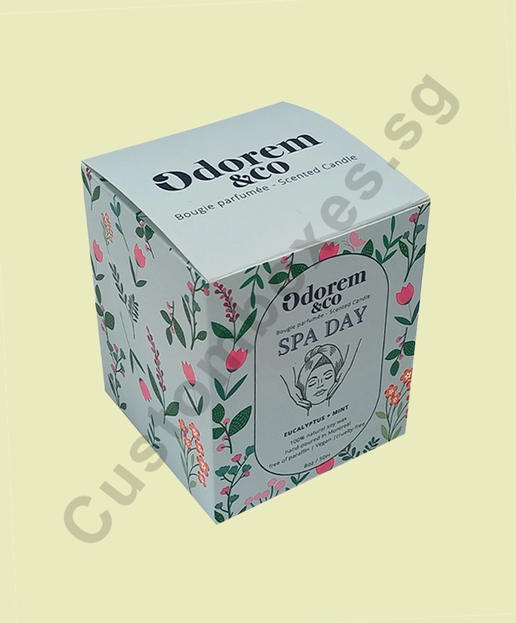 Custom Cardboard Boxes in Singapore Packaging Solutions