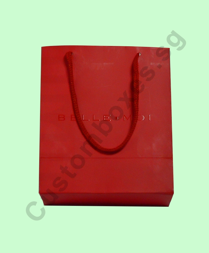 Custom Printed Paper Bags - Custom Boxes SG