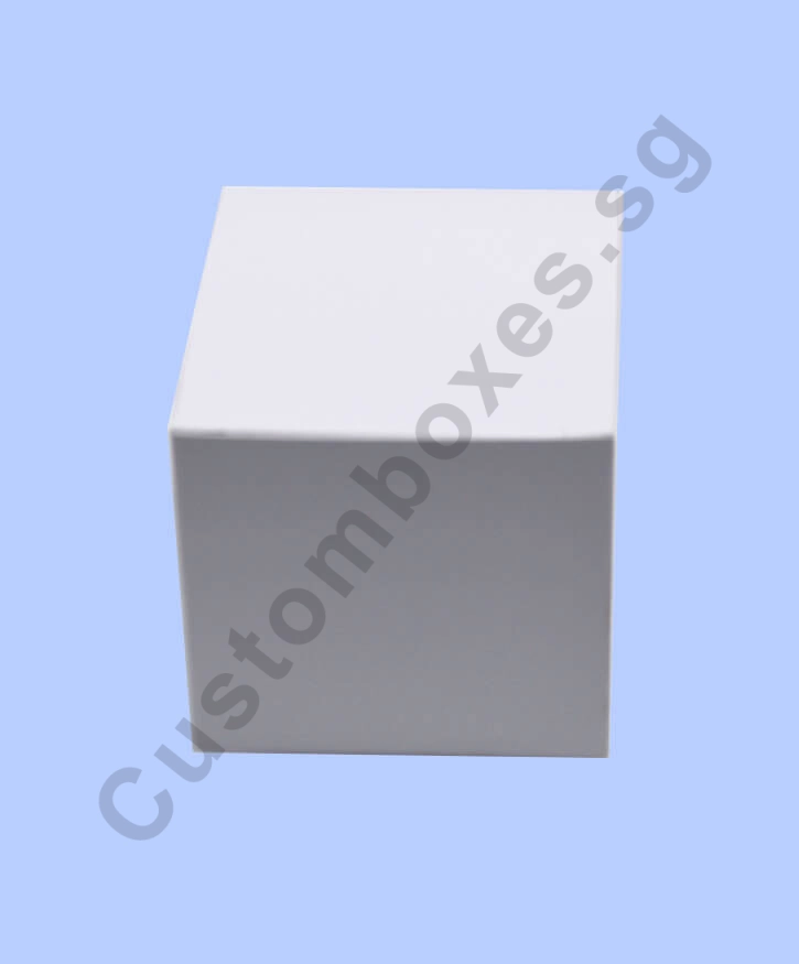 Custom Mug Boxes (Best Packaging Suppliers in Singapore)