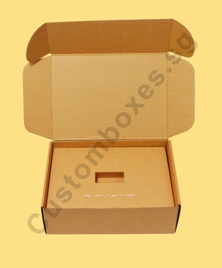 Corrugated Mailer with Insert Box in Singapore