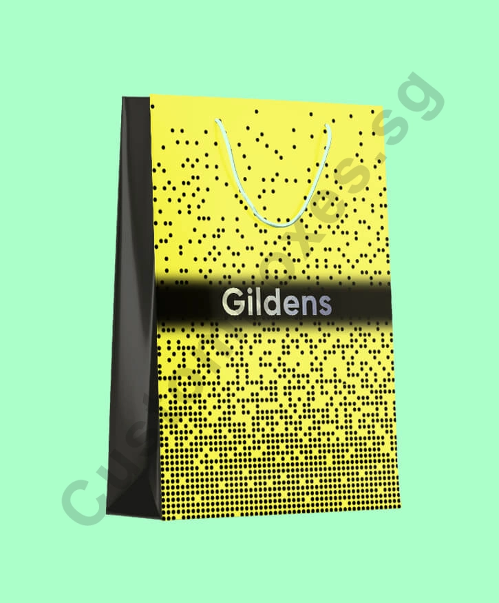 High Quality Premium Paper Bags with Handle Singapore